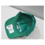 NEW University of North Dakota Fighting Hawks Baseball Cap - Green