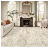Area Rug 8