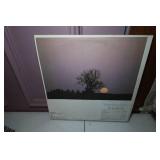 Fleetwood Mac Bare Trees Vinyl Record Album