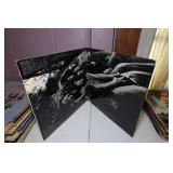 Steely Dan Pretzel Logic Vinyl Record Album