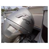 1998 Premier Pontoon with 45 HP Honda 4 Stroke
