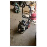 Electric Eel 75