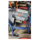 Electric Eel 75