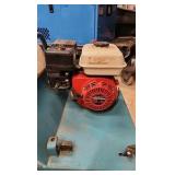 Bluebird Gasoline-Powered Power Rake