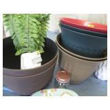 Planters, birdhouse and greenery...