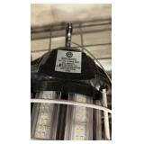 Lights and light bulb guard cages: