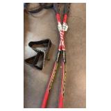 Elan and Swix skis and poles