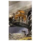 Lights and light bulb guard cages: