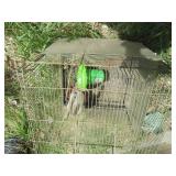 Metal wire bird cage with accessori...