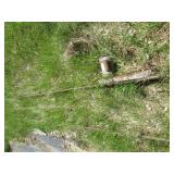 Vintage metal hay bale elevator wit...