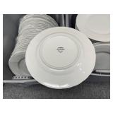 10" Dinner Plates