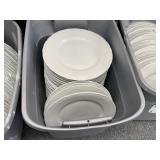 10" Dinner Plates