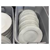 10" Dinner Plates