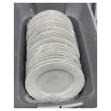 10" Dinner Plates
