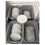 10" Dinner Plates