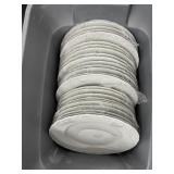 10" Dinner Plates