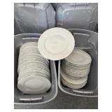 10" Dinner Plates