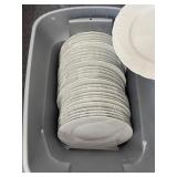 10" Dinner Plates