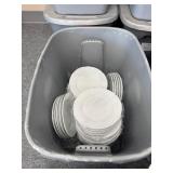 8" Salad Plates