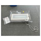 Illuminated Ice Tray