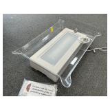 Illuminated Ice Tray
