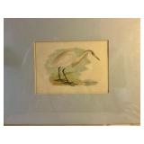 Hand colored heron print matted