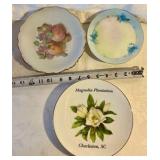 Group of 10 vintage hand painted transferware Bavaria, Germany, Vienna china plates