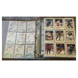 HUGE Hockey Card Binder 550+ Cards - 1992 Topps Gold, 1993 Premier Gold, 1994 Premier and More