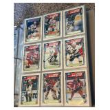 HUGE Hockey Card Binder 550+ Cards - 1992 Topps Gold, 1993 Premier Gold, 1994 Premier and More