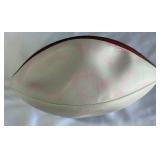 Minnesota Vikings Autographed Football - Tons of signatures!