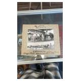 1955 tiger cat horse racing photograph