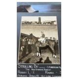 1938 strolling by horse racing photograph
