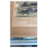 1869 the brush on the homestretch lithograph