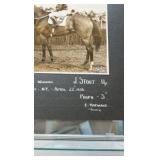 1938 camisado horse racing photograph