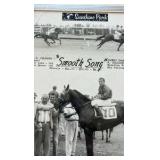 smooth song horse racing photograph