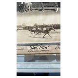 1945 hel-pin horse racing photograph