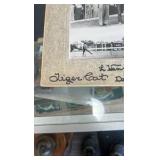 1955 tiger cat horse racing photograph