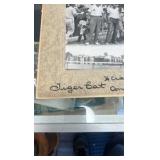 1955 tiger cat horse racing photograph