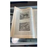 1886 the horseman magazine