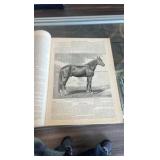 1890 Clark’s horse review magazine