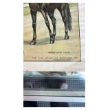 the fastest stallions in the world m.w. savage lithograph
