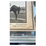 1946 Deauville beau horse racing photograph