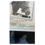 1949 miss cranberry horse racing photograph