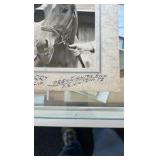 1949 miss cranberry horse racing photograph