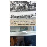 1955 tiger cat horse racing photograph