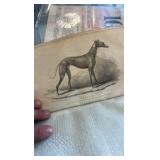 1830 American sporting magazine volume 1 book