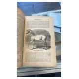 1871 the horse in the stable and the field book