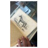 1871 the horse in the stable and the field book