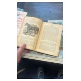 1871 the horse in the stable and the field book
