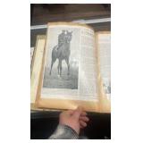 original 1950s Windy City scrapbook by owner Gus luellwitz